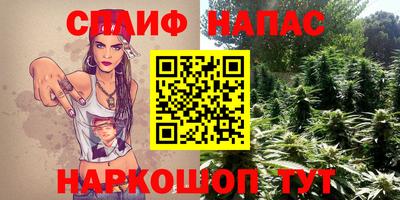 крисы Апшеронск