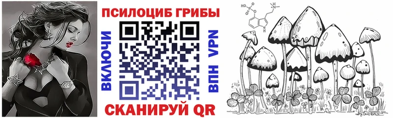 купить наркоту  Тара  Галлюциногенные грибы мухоморы 