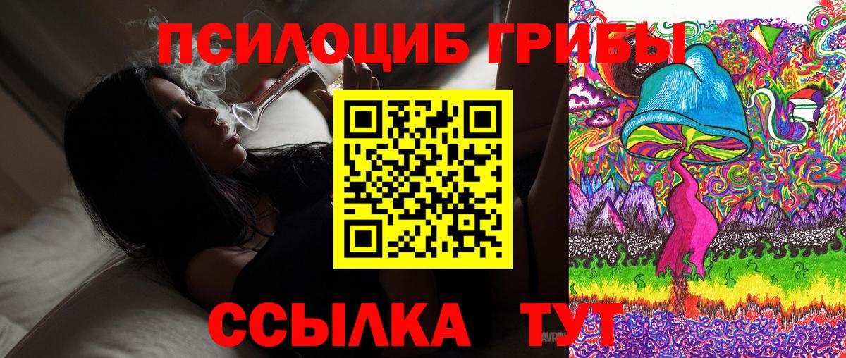 Тара  Галлюциногенные грибы прущие грибы  Вход с VPN 