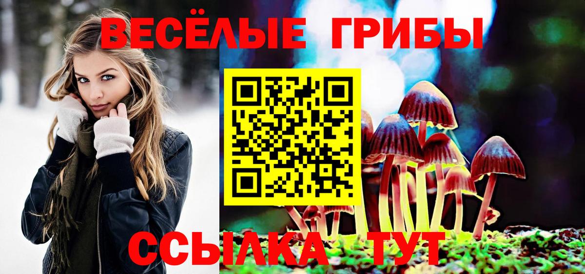 Псилоцибиновые грибы мухоморы Тара