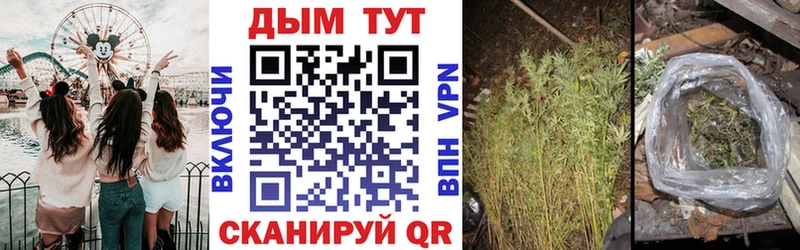 darknet какой сайт  MEGA вход  Тара  Каннабис MAZAR 